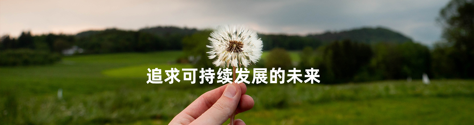 社會(huì)責(zé)任